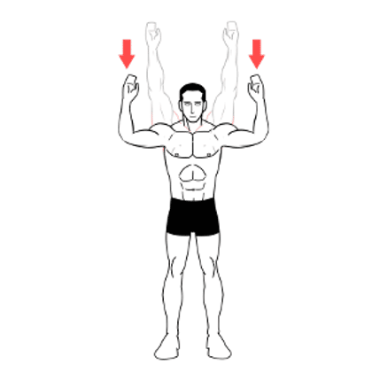 Strength exercises for shoulder bursitis - diagram shows a person with their back to the wall, moving both arms up and down gently, keeping forearms parallel to each other and perpendicular to the floor.